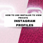 How to Use Instalkr to View Private Instagram Profiles