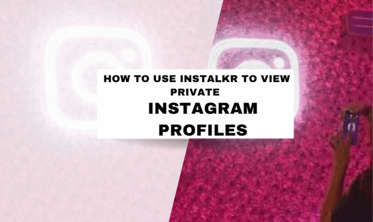 How to Use Instalkr to View Private Instagram Profiles
