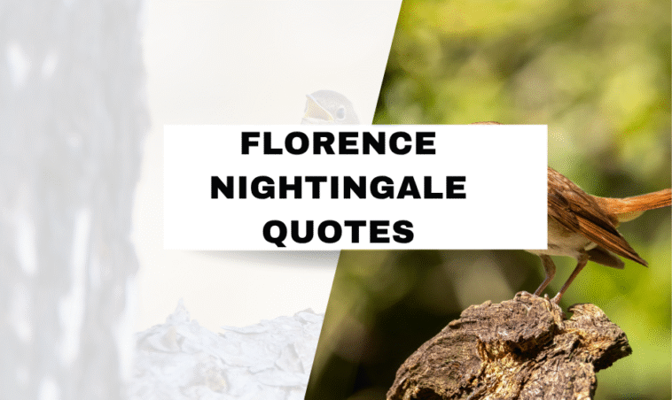 Inspiring Florence Nightingale Quotes