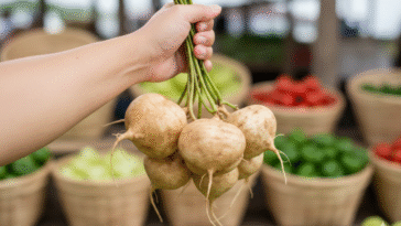 Crisp & Sweet Jicama Fruit Guide: What‘s & Tasty Snack Ideas